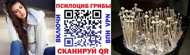 Галлюциногенные грибы прущие грибы  где купить наркотик  Короча 